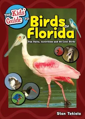 Przewodnik dla dzieci po ptakach Florydy: Zabawne fakty, ćwiczenia i 87 ciekawych ptaków - The Kids' Guide to Birds of Florida: Fun Facts, Activities and 87 Cool Birds