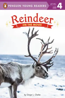 Renifery: W ruchu! - Reindeer: On the Move!