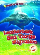 Migracja żółwi skórzastych - Leatherback Sea Turtle Migration