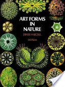 Formy sztuki w przyrodzie - Art Forms in Nature