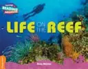 Życie na rafie Pomarańczowa opaska - Life on the Reef Orange Band