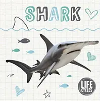 Cykl życia rekina - Life Cycle of a Shark