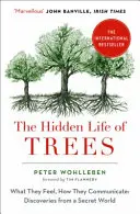 Ukryte życie drzew - co czują i jak się komunikują - Hidden Life of Trees - What They Feel, How They Communicate