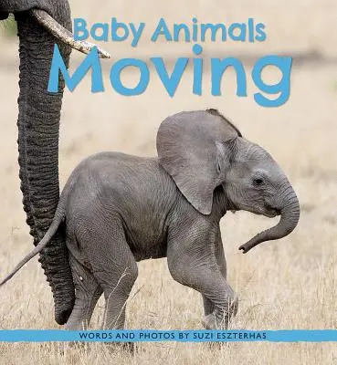 Poruszające się małe zwierzęta - Baby Animals Moving