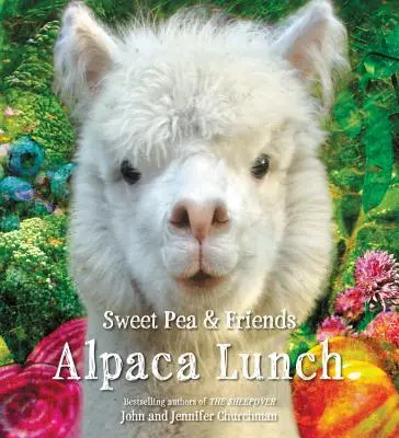 Lunch z alpaką - Alpaca Lunch