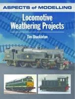 Aspekty modelarstwa: Projekty wietrzenia lokomotyw - Aspects of Modelling: Locomotive Weathering Projects