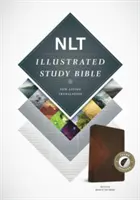 Ilustrowana Biblia do studiowania - NLT - Illustrated Study Bible-NLT