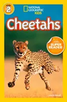 Gepardy - Cheetahs