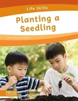 Sadzenie sadzonki - Planting a Seedling