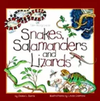 Węże, salamandry i jaszczurki - Snakes, Salamanders & Lizards