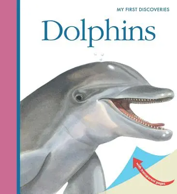 Delfiny - Dolphins