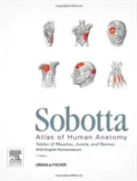 Sobotta Tables of Muscles, Joints and Nerves, English - Tablice do 15. wydania Atlasu Sobotty - Sobotta Tables of Muscles, Joints and Nerves, English - Tables to 15th ed. of the Sobotta Atlas