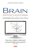 Mitochondria mózgu - rozmieszczenie i funkcja - Brain Mitochondria - Distribution and Function