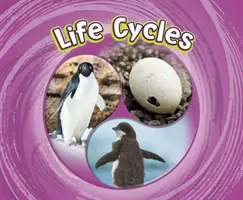 Cykle życia - Life Cycles