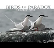 Ptaki paradoksu: życie rybitw - Birds of Paradox: The Life of Terns