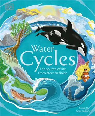 Cykle wodne - Water Cycles