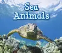 Zwierzęta morskie - Sea Animals