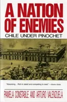 Naród wrogów: Chile pod rządami Pinocheta - A Nation of Enemies: Chile Under Pinochet