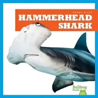 Rekin młot - Hammerhead Shark