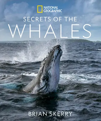 Sekrety wielorybów - Secrets of the Whales