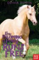 Kucyk Palomino biega swobodnie - Palomino Pony Runs Free