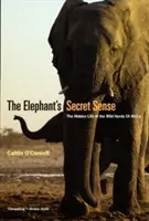 Sekretny zmysł słonia: Ukryte życie dzikich stad w Afryce - The Elephant's Secret Sense: The Hidden Life of the Wild Herds of Africa