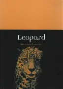 Lampart - Leopard