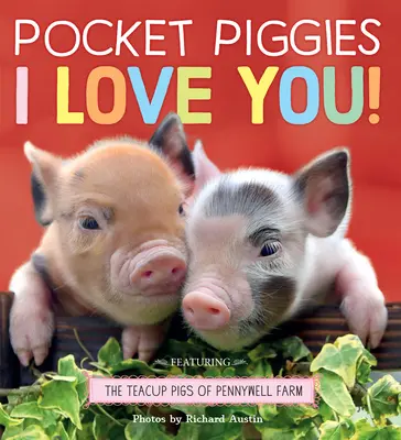 Kieszonkowe świnki: Kocham Cię! - Pocket Piggies: I Love You!