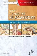 Zwięzła neuroanatomia Nettera - wydanie zaktualizowane - Netter's Concise Neuroanatomy Updated Edition