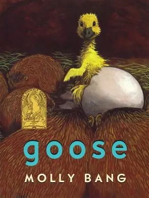 Gęś - Goose