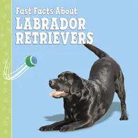 Szybkie fakty o labradorach - Fast Facts About Labradors