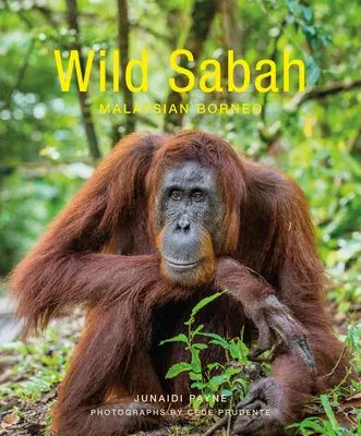 Dzika Saba - Wild Sabah