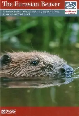 Bóbr euroazjatycki - The Eurasian Beaver