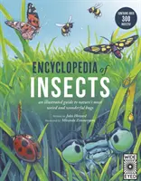 Encyklopedia owadów - Encyclopedia of Insects