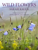 Dzikie kwiaty Sary Raven - Sarah Raven's Wild Flowers