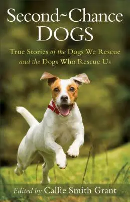 Psy drugiej szansy: Prawdziwe historie psów, które ratujemy i psów, które ratują nas - Second-Chance Dogs: True Stories of the Dogs We Rescue and the Dogs Who Rescue Us