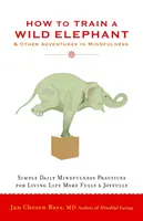 Jak wytresować dzikiego słonia: I inne przygody z uważnością - How to Train a Wild Elephant: And Other Adventures in Mindfulness