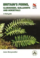 Britain's Ferns: A Field Guide to the Clubmosses, Quillworts, Horsetails and Ferns of Great Britain and Ireland (Przewodnik terenowy po maczużnikach, skrzypach i paprociach Wielkiej Brytanii i Irlandii) - Britain's Ferns: A Field Guide to the Clubmosses, Quillworts, Horsetails and Ferns of Great Britain and Ireland