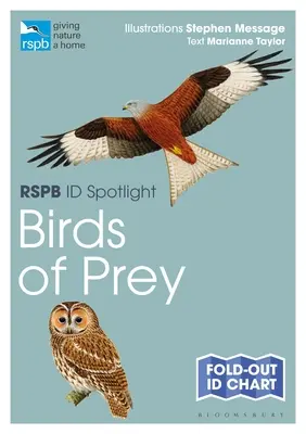 Rspb Id Spotlight - Ptaki drapieżne - Rspb Id Spotlight - Birds of Prey