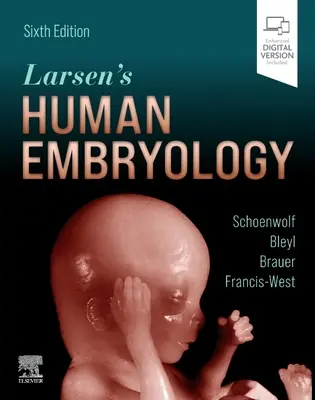 Embriologia człowieka Larsena - Larsen's Human Embryology