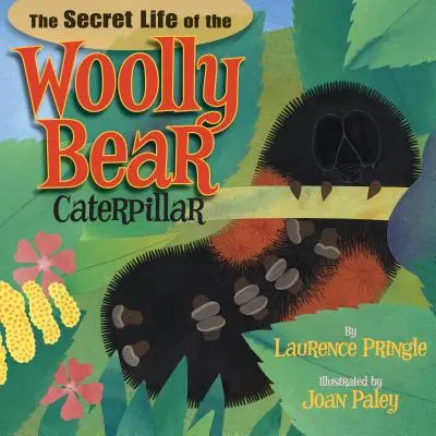 Sekretne życie gąsienicy niedźwiedzia włochatego - The Secret Life of the Woolly Bear Caterpillar