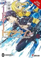 Sword Art Online 13 (Light Novel): Alicization Dividing