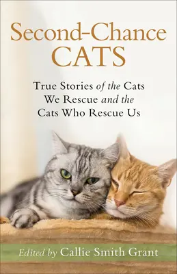 Koty drugiej szansy: Prawdziwe historie kotów, które ratujemy i kotów, które ratują nas - Second-Chance Cats: True Stories of the Cats We Rescue and the Cats Who Rescue Us