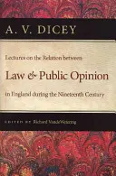 Wykłady na temat relacji między prawem a opinią publiczną w Anglii w XIX wieku - Lectures on the Relation Between Law and Public Opinion in England During the Nineteenth Century