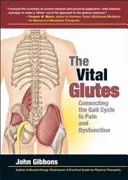 Vital Glutes - Połączenie cyklu chodu z bólem i dysfunkcją - Vital Glutes - Connecting the Gait Cycle to Pain and Dysfunction