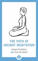 Ścieżka medytacji wglądu - The Path of Insight Meditation