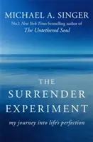 Surrender Experiment - Moja podróż do doskonałości życia - Surrender Experiment - My Journey into Life's Perfection