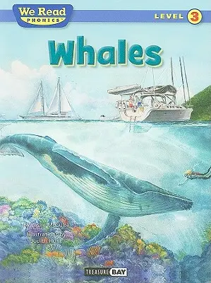 Wieloryby - Whales