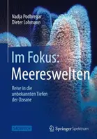 Im Fokus: Meereswelten: Reise in Die Unbekannten Tiefen Der Ozeane