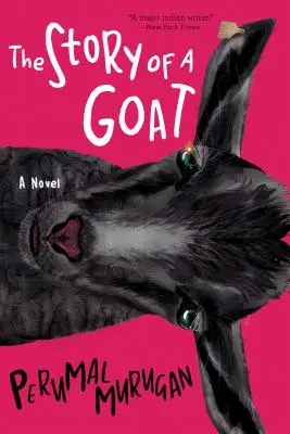 Historia kozy - The Story of a Goat